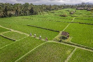 Four Seasons Resort Bali at Sayan fotoÄŸrafÄ±