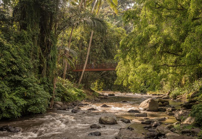 Four Seasons Resort Bali at Sayan - Genel