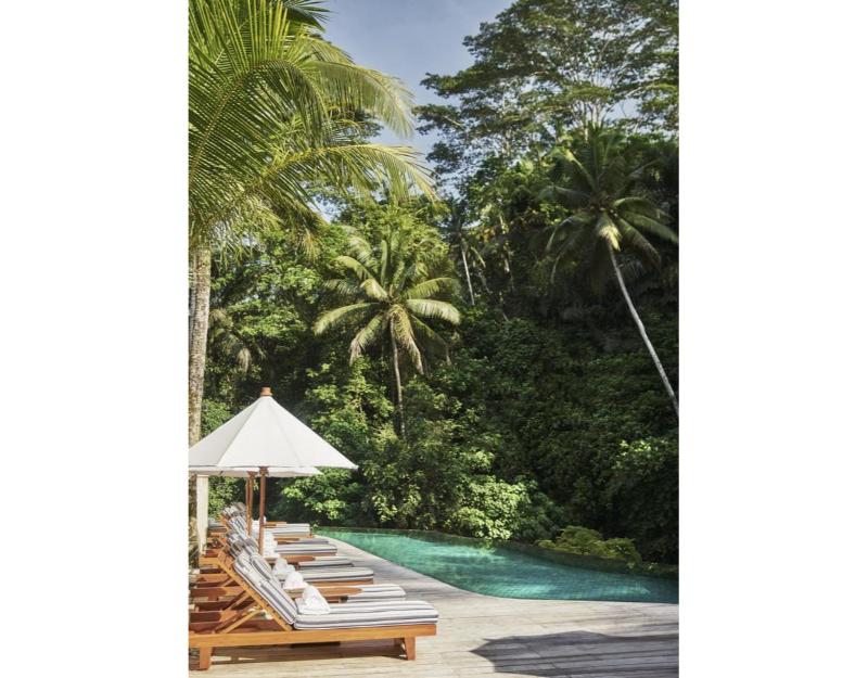 Four Seasons Resort Bali at Sayan - Havuz