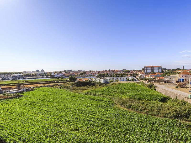 Villa C Boutique Hotel - Genel