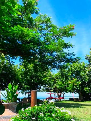 Beach Republic, Koh Samui fotoÄŸrafÄ±