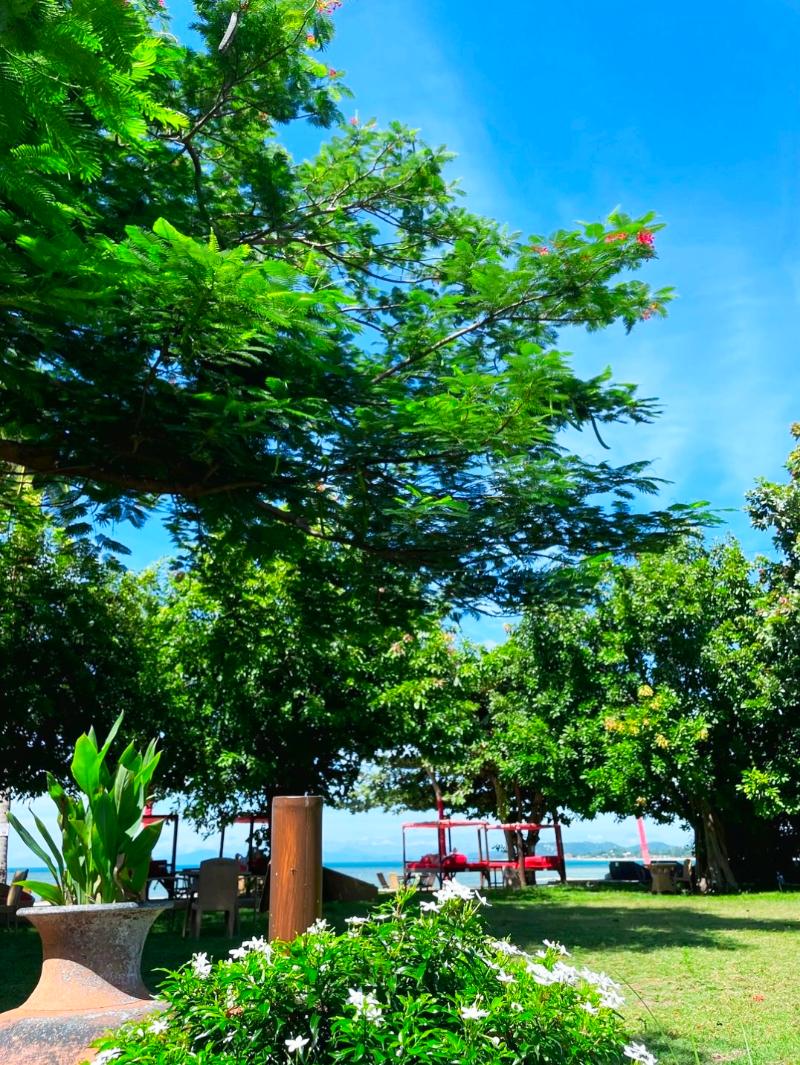 Beach Republic, Koh Samui - Genel