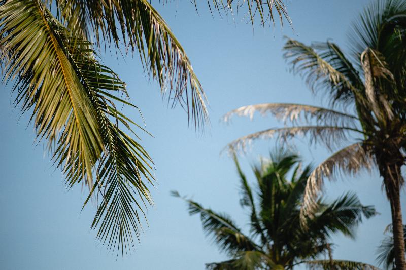 Rest Detail Hua Hin - Oda