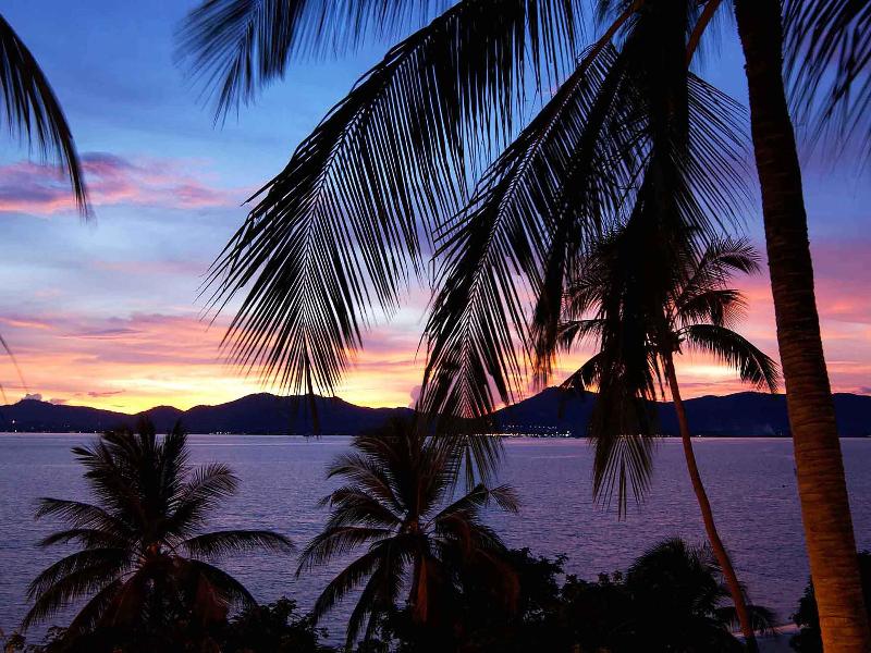 Ibis Phuket Patong - Aktivite