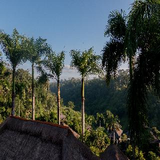 The Payogan Villa Resort & Spa fotoÄŸrafÄ±