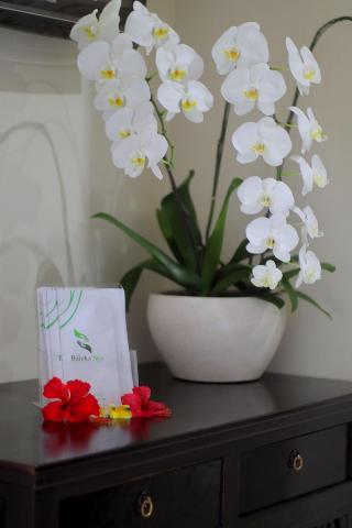 Baleka Resort Hotel & Spa fotoÄŸrafÄ±