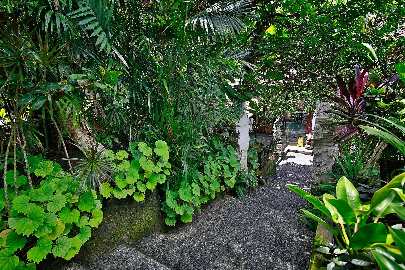 Bali Spirit Hotel and Spa - Genel