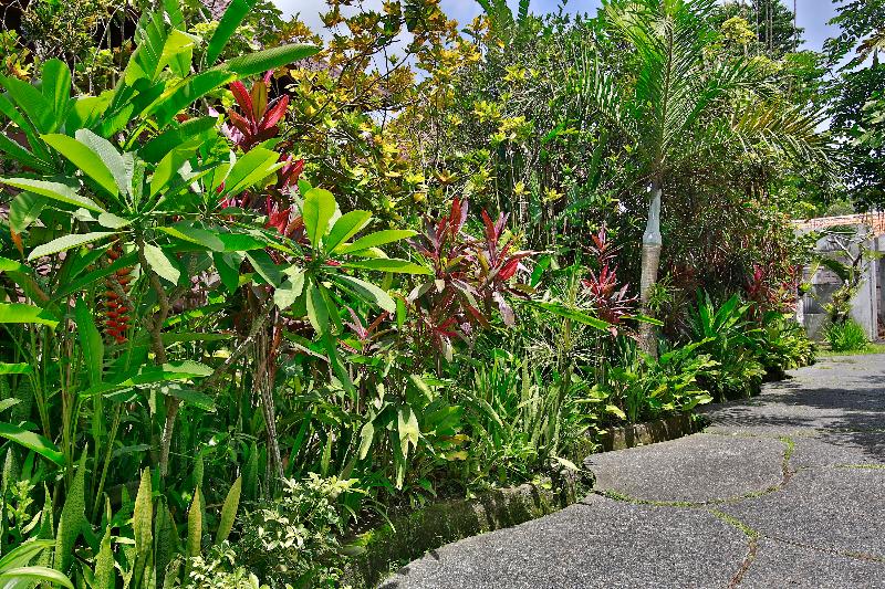 Bali Spirit Hotel and Spa - Genel