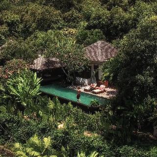 The Damai fotoÄŸrafÄ±