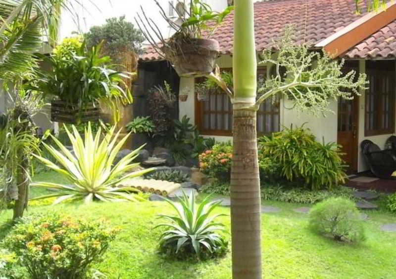 Duta Guest House otel fotoğrafı