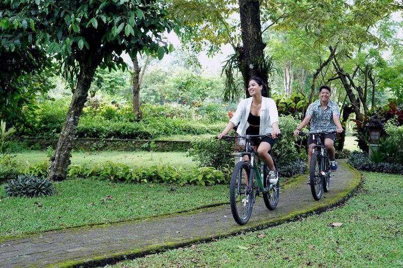 Hyatt Regency Yogyakarta - Genel
