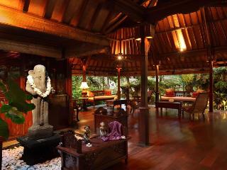 Ibah Ubud fotoÄŸrafÄ±