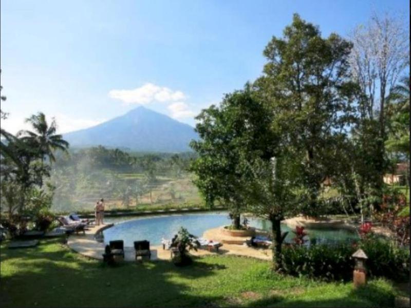 Ijen Resort - Havuz