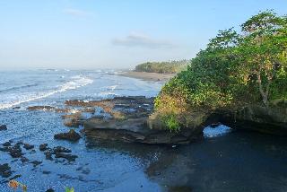 Gajah Mina Beach Resort fotoÄŸrafÄ±