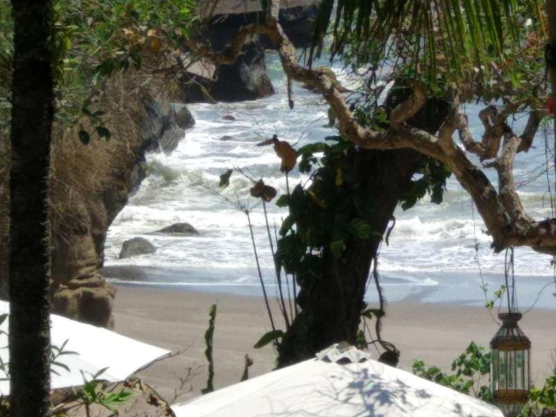 Gajah Mina Beach Resort - Plaj