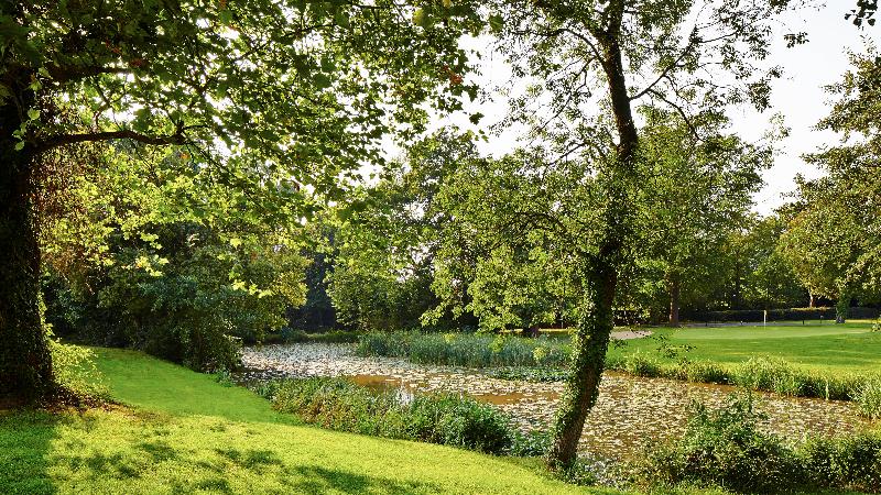 Meon Valley Hotel, Spa & Golf - Aktivite