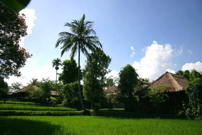 Ananda Cottages otel fotoğrafı