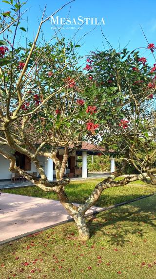 MesaStila Resort and Spa Magelang fotoÄŸrafÄ±
