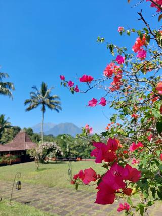 MesaStila Resort and Spa Magelang fotoÄŸrafÄ±