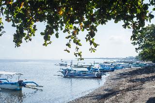 The Lovina Bali fotoÄŸrafÄ±