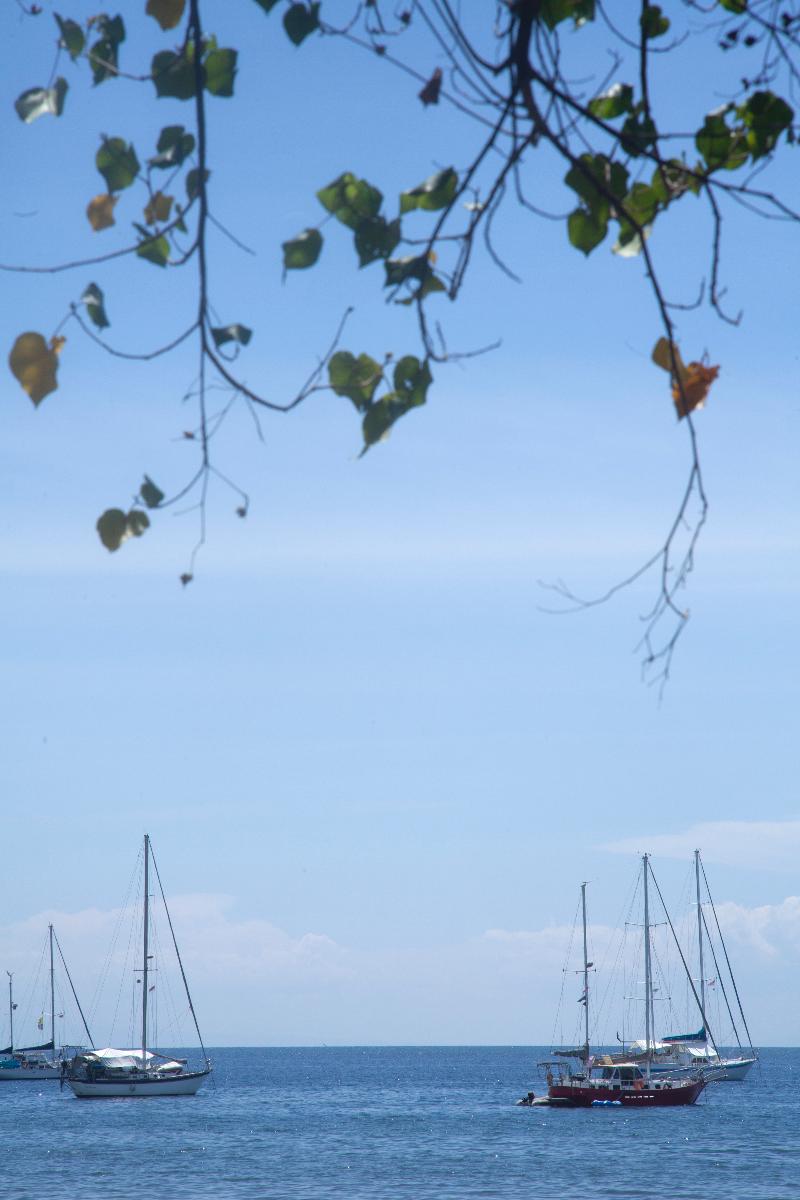 The Lovina Bali - Plaj