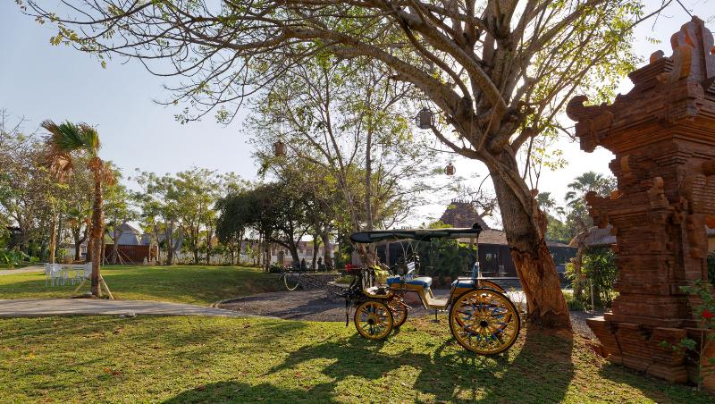 Villa Canggu by Plataran - Aktivite