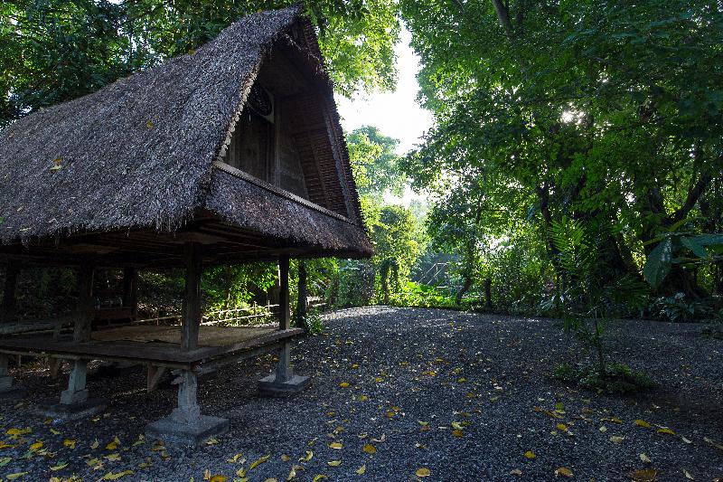 Villa Canggu by Plataran - Genel