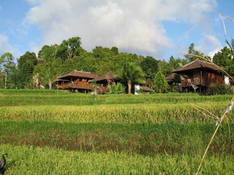 Puri Lumbung otel fotoğrafı