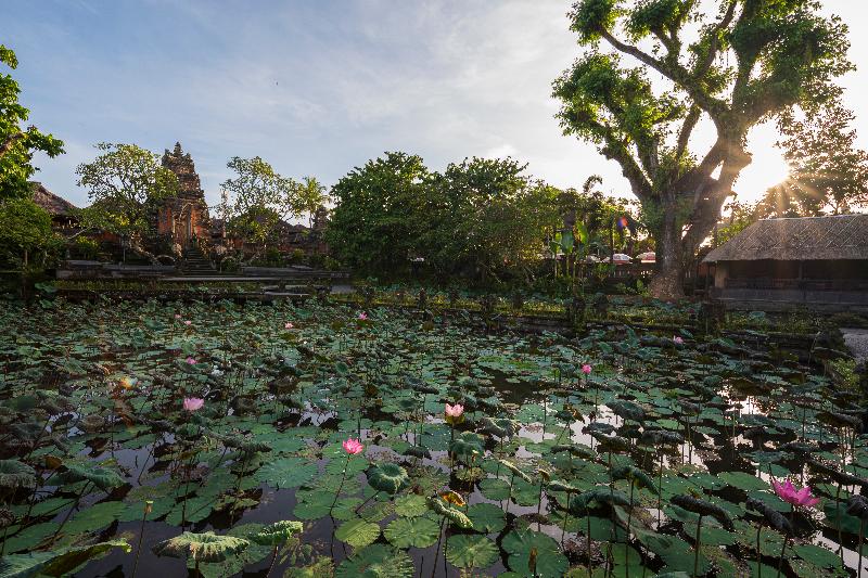 Puri Saraswati Dijiwa Ubud - Genel