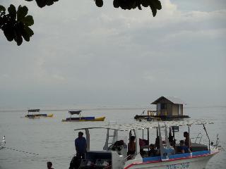 Taman Selini Bali fotoÄŸrafÄ±