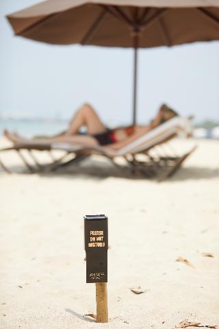 The Ahimsa Beach fotoÄŸrafÄ±