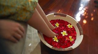 The Elysian Boutique Villa Hotel fotoÄŸrafÄ±