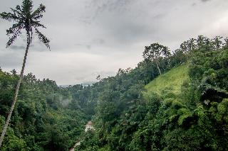 Ulun Ubud Resort fotoÄŸrafÄ±