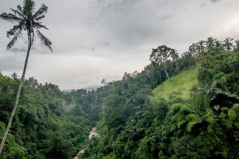 Ulun Ubud Resort - Genel