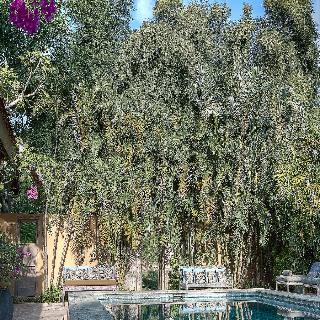 Balquisse Heritage Hotel fotoÄŸrafÄ±