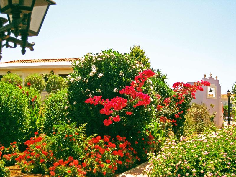 Akamanthea Holiday Village - Genel
