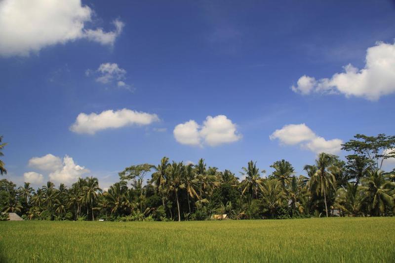 Junjungan Bali & Spa - Genel