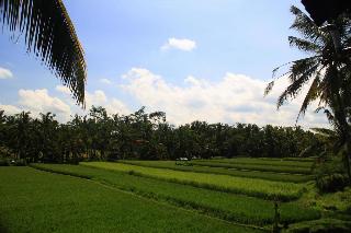 Junjungan Bali & Spa fotoÄŸrafÄ±