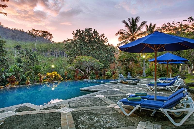 Margo Utomo Agro Resort - Havuz