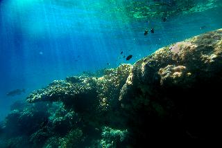 The Menjangan by LifestyleRetreats fotoÄŸrafÄ±
