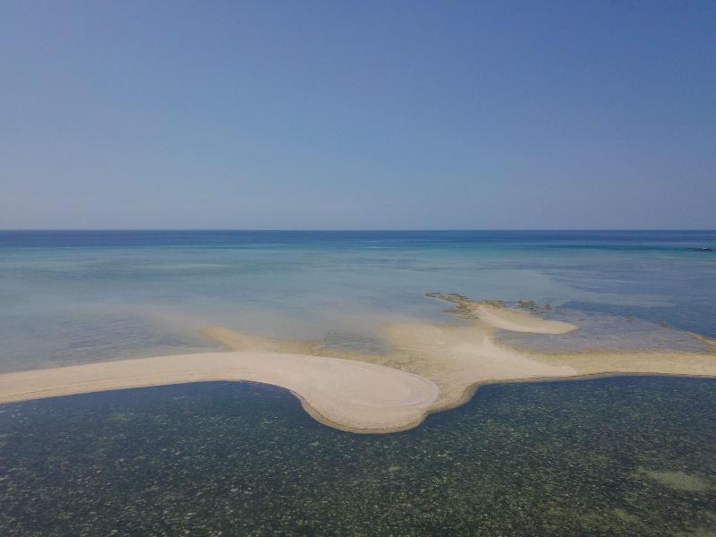 Mimpi Resort Menjangan - Aktivite