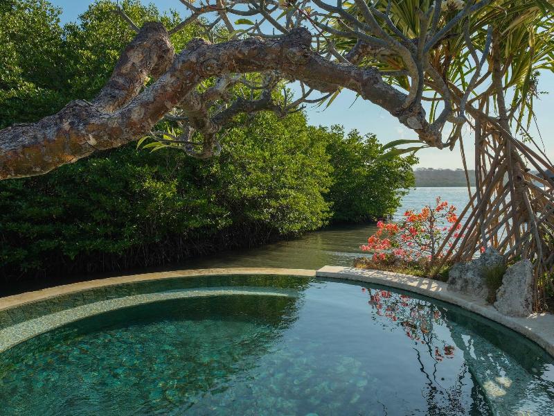 Mimpi Resort Menjangan - Aktivite
