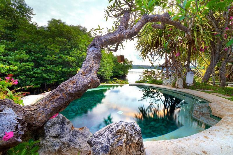 Mimpi Resort Menjangan - Havuz