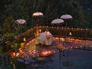 Nandini Jungle by Hanging Gardens fotoÄŸrafÄ±