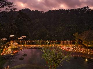 Nandini Jungle by Hanging Gardens fotoÄŸrafÄ±