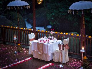 Nandini Jungle by Hanging Gardens fotoÄŸrafÄ±