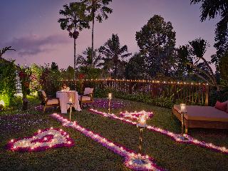 Nandini Jungle by Hanging Gardens fotoÄŸrafÄ±