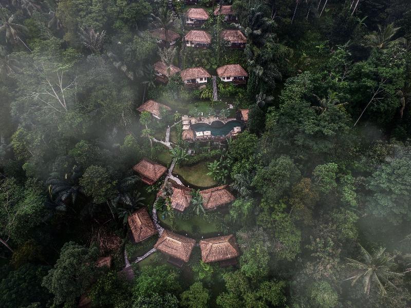 Nandini Jungle by Hanging Gardens - Genel