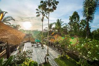 Nandini Jungle by Hanging Gardens fotoÄŸrafÄ±