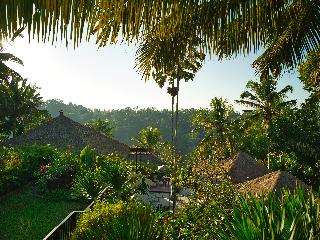Nandini Jungle by Hanging Gardens fotoÄŸrafÄ±